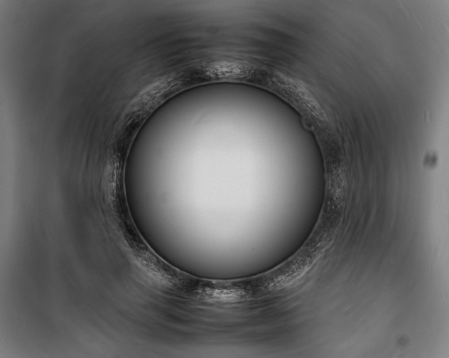 X0000100310645200806121041