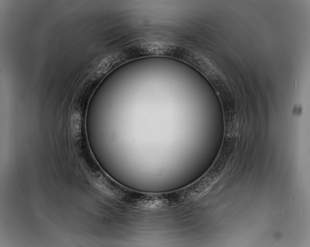 X0000100310646200806121041