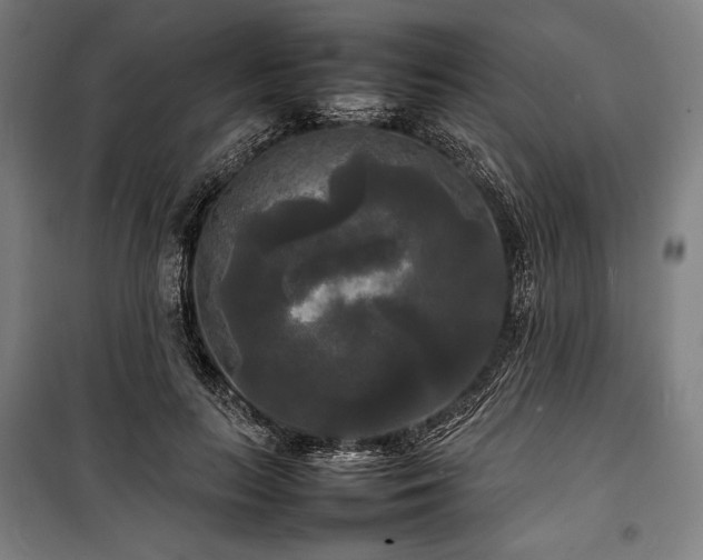 X0000100310647200806121041