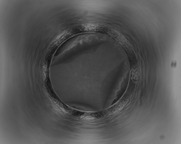 X0000100310648200806121041