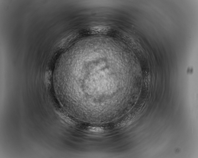 X0000100310649200806121041