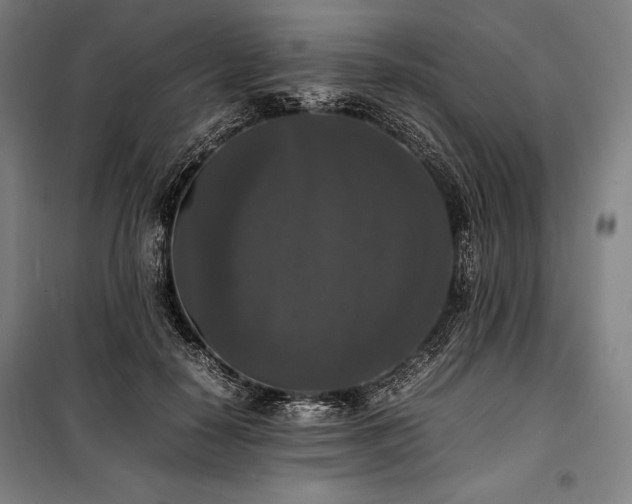 X0000100310650200806121041