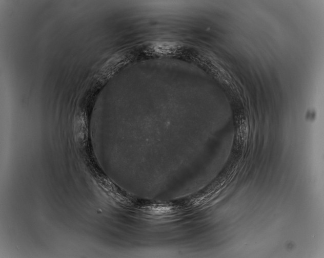 X0000100310651200806121041
