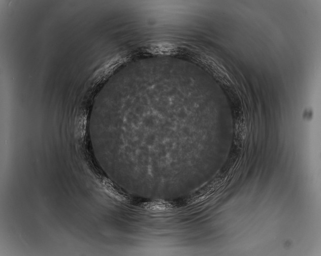 X0000100310652200806121041