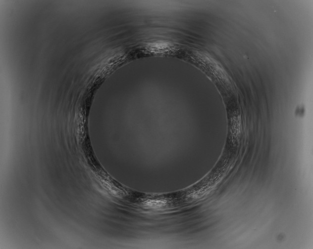 X0000100310653200806121041