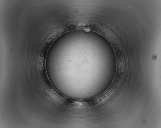 X0000100310654200806121041