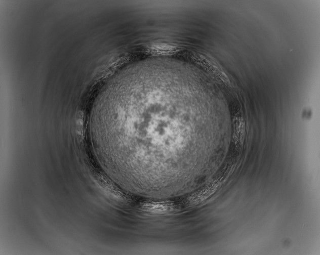 X0000100310655200806121041