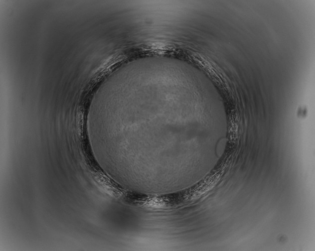 X0000100310656200806121042