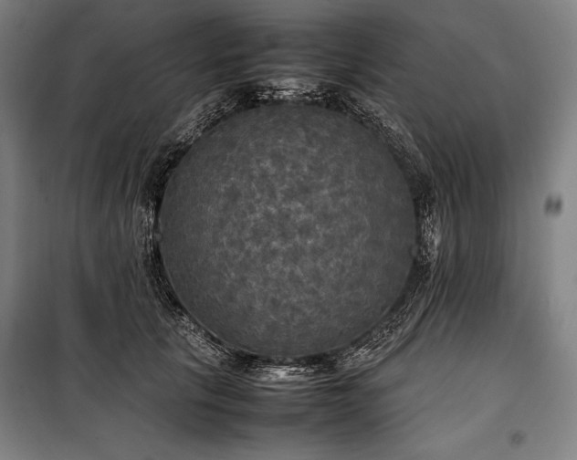 X0000100310657200806121042