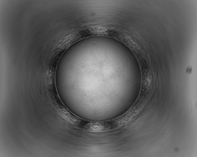 X0000100310658200806121042