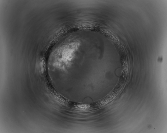 X0000100310659200806121042