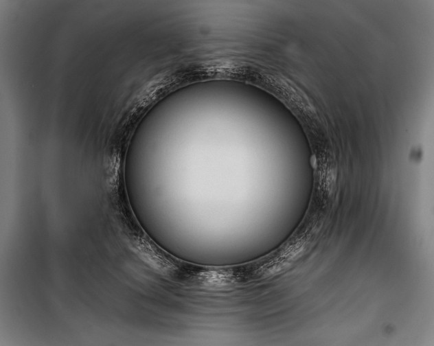 X0000100310660200806121042
