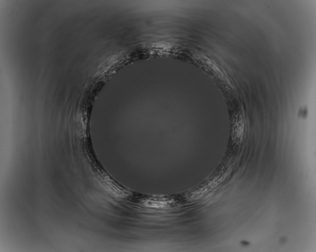 X0000100310661200806121042