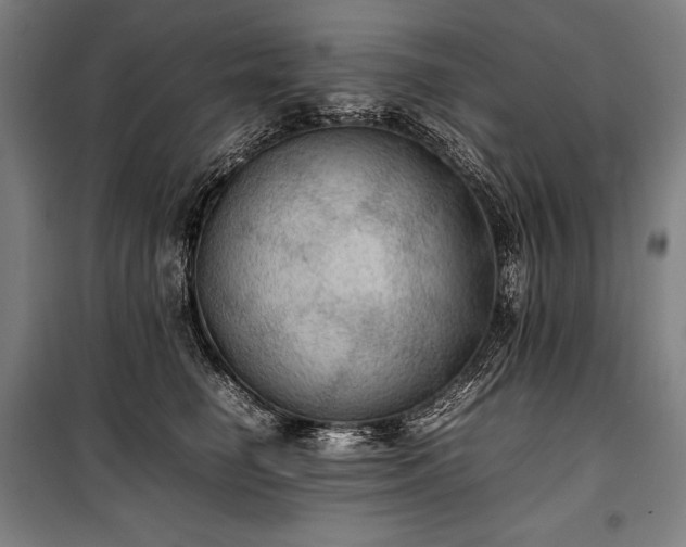 X0000100310662200806121042