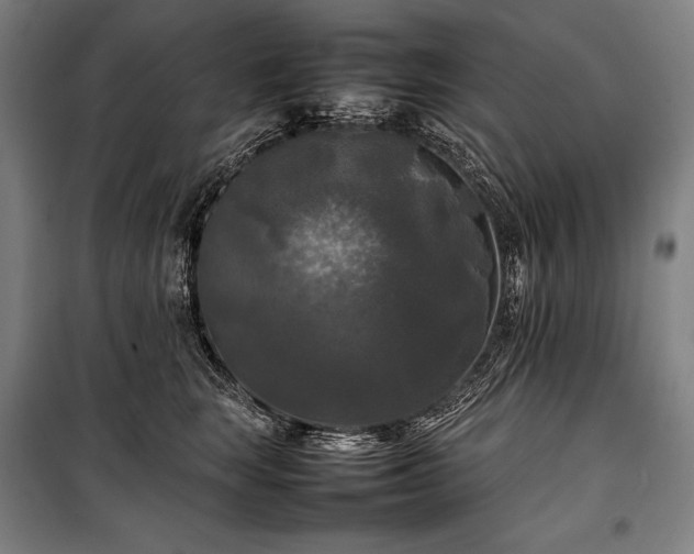 X0000100310663200806121042