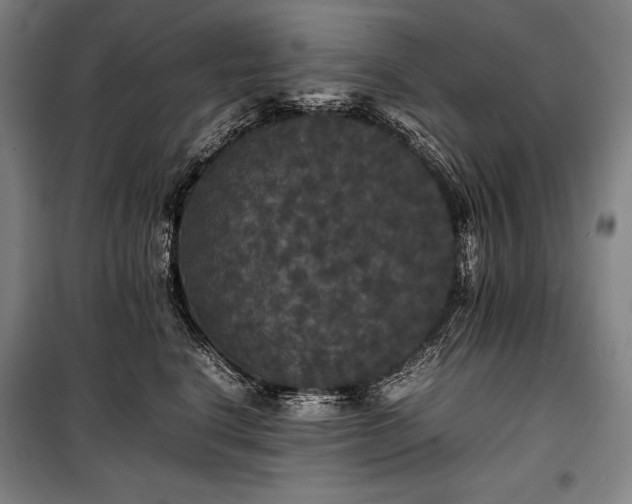 X0000100310664200806121042