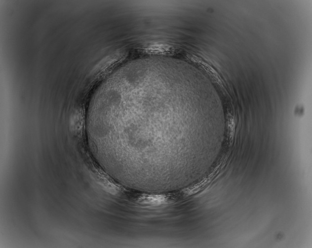 X0000100310665200806121042