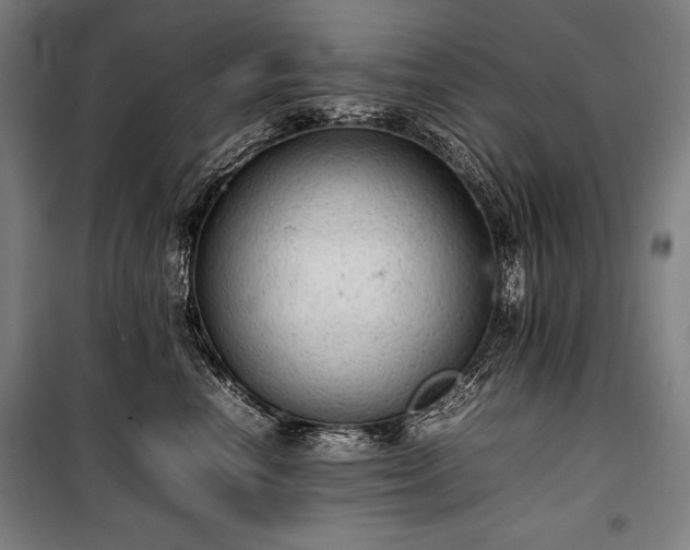 X0000100310666200806121042