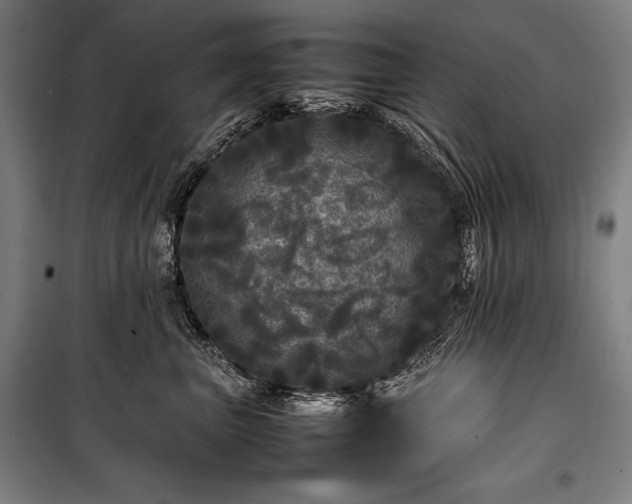 X0000100310667200806121042