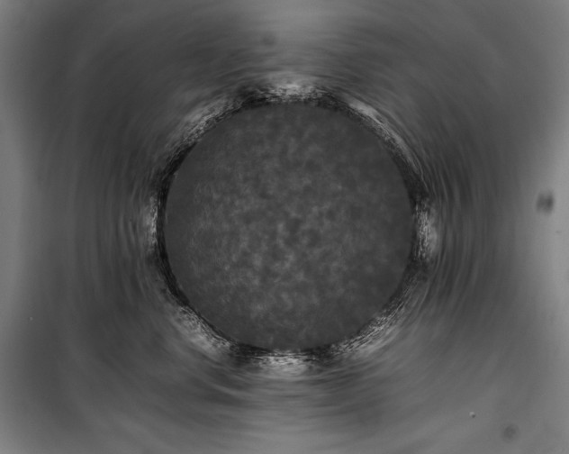 X0000100310668200806121042
