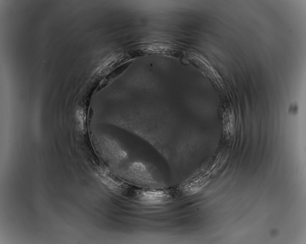 X0000100310669200806121042