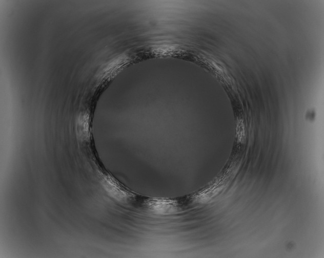 X0000100310670200806121042