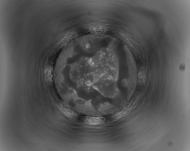 X0000100310671200806121042
