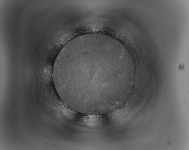 X0000100310672200806121042