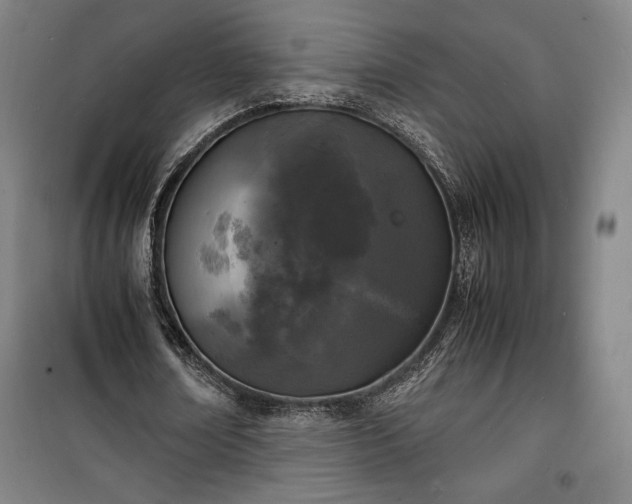 X0000100310674200806121041