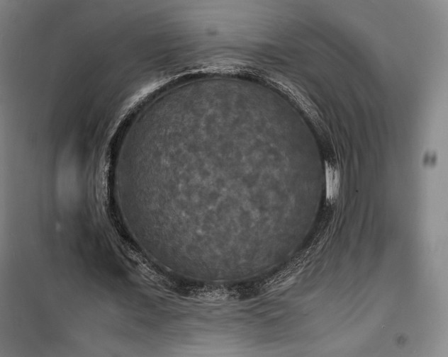 X0000100310675200806121041