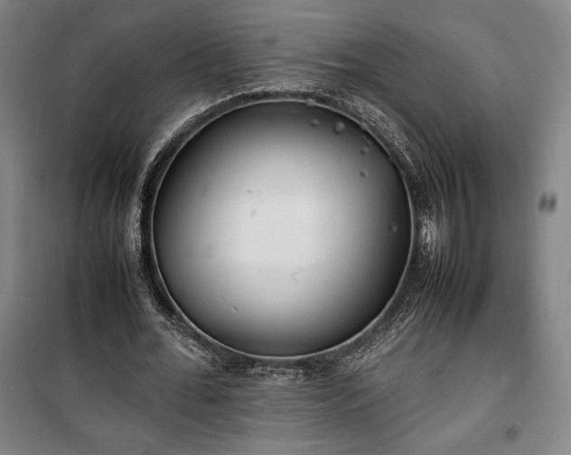 X0000100310676200806121041