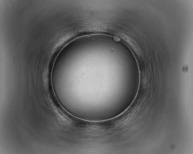 X0000100310677200806121041