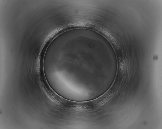 X0000100310678200806121041