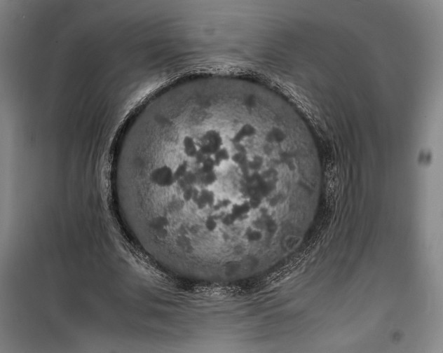 X0000100310679200806121041