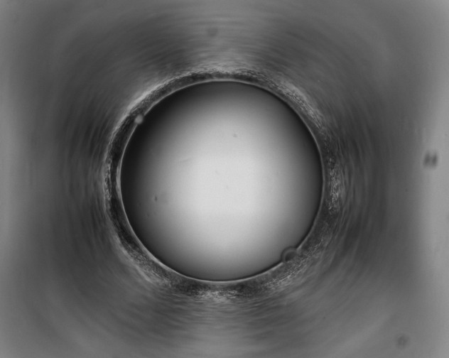 X0000100310680200806121041