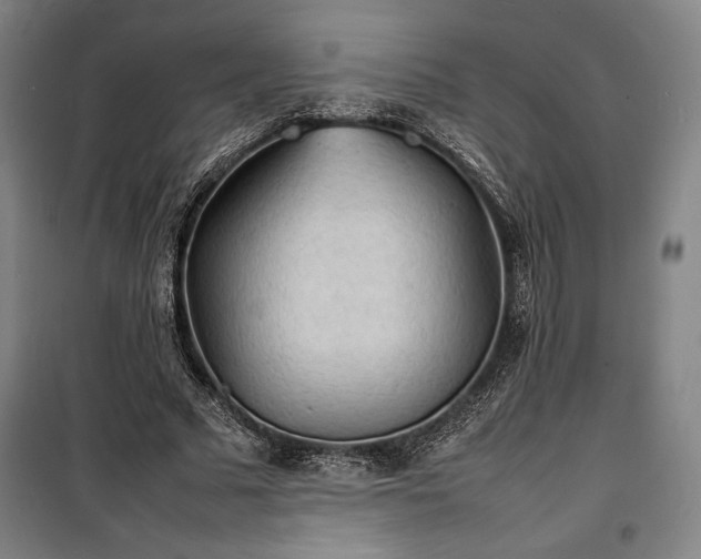 X0000100310681200806121041
