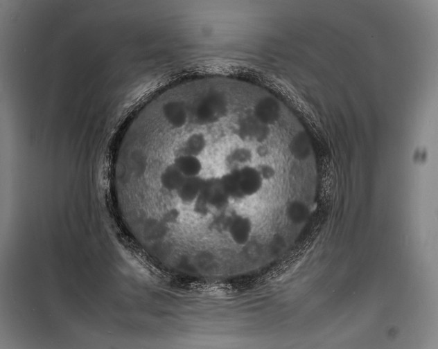 X0000100310683200806121041