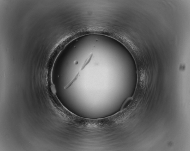 X0000100310684200806121041