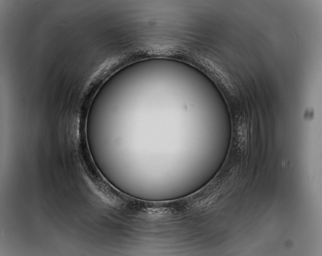 X0000100310686200806121041