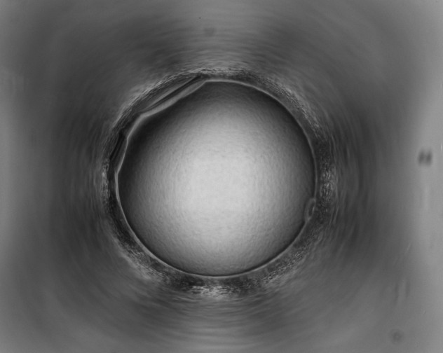 X0000100310688200806121041