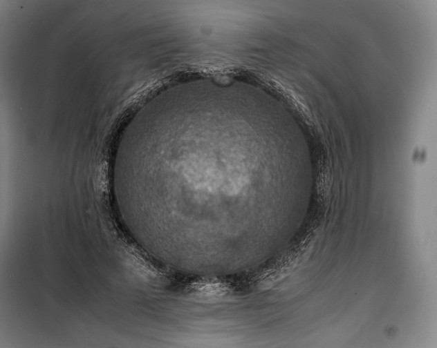 X0000100310689200806121041