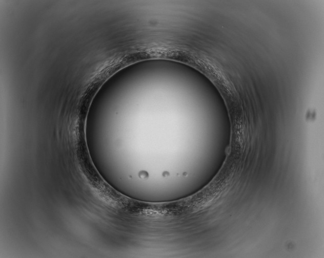 X0000100310690200806121041