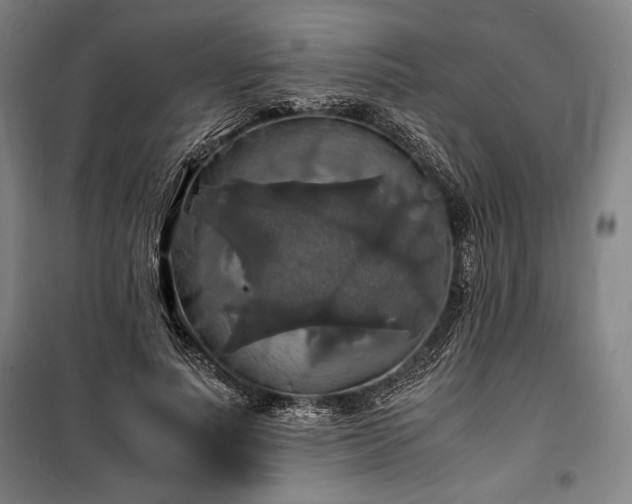 X0000100310691200806121041