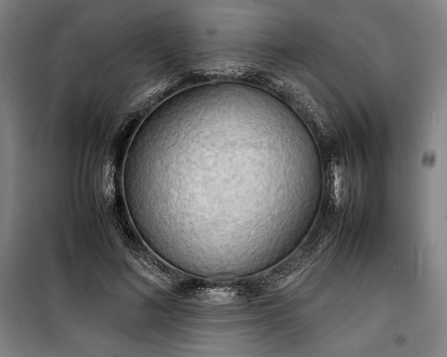X0000100310692200806121041