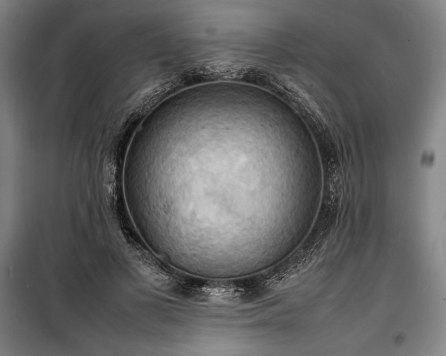 X0000100310693200806121041