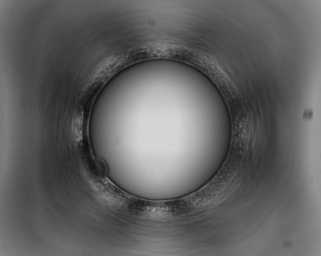 X0000100310694200806121041