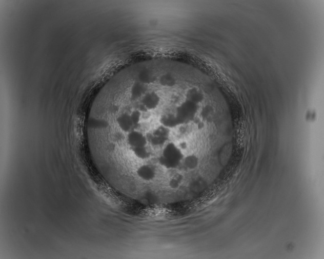 X0000100310695200806121041
