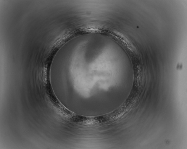 X0000100310696200806121041