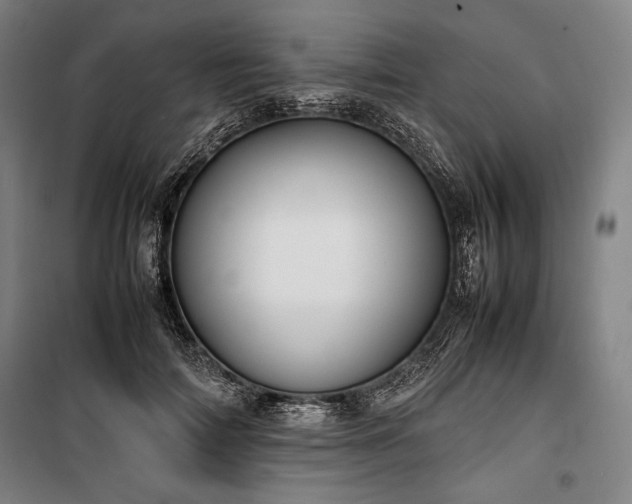 X0000100310698200806121041