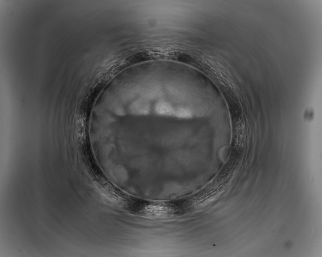 X0000100310699200806121041